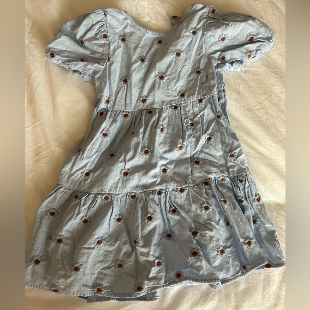Zara Embroidered Daisy Dress 3-4